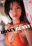 Τ HONEY BUNNY Special Price DVD[륳]