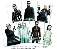 ޥȥå ǥå  [DVD]3[륳]