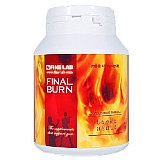 FINAL BURN 225γ[륳]