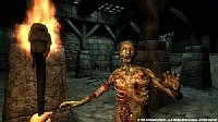 The Elder Scrolls IV: Oblivion Game of the Year Edition͢ǡơ3[륳]