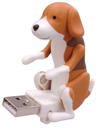 Humping Dog Brown ϥԥ󥰥ɥå USB ե奢[륳]
